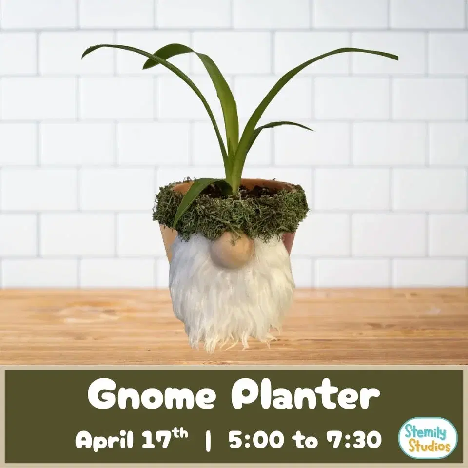 Gnome Planter - Adult's Workshop