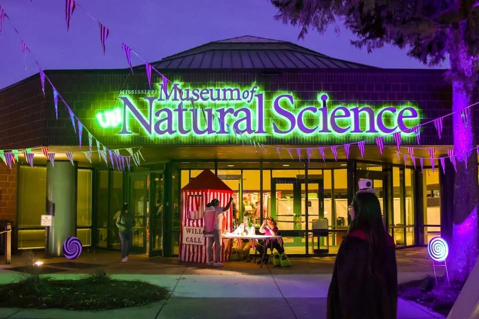 Park After Dark