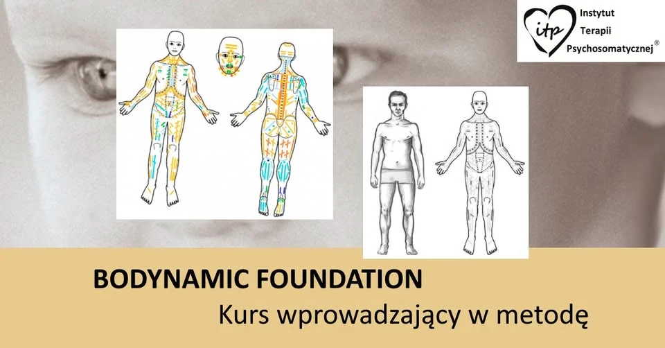 BODYNAMIC FOUNDATION - roczny kurs z podstaw psychoterapii somatycznej Bodynamic