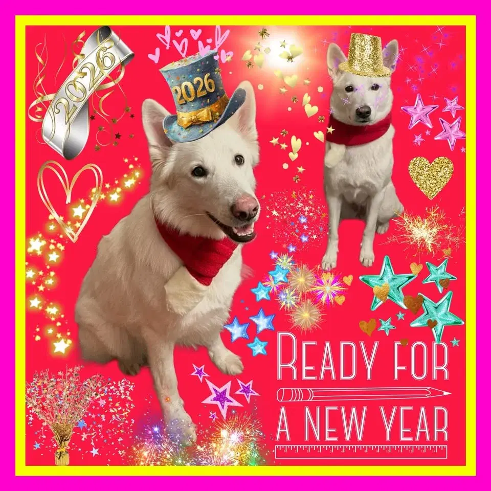 Antijakt och Inkallning