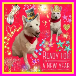 Antijakt och Inkallning