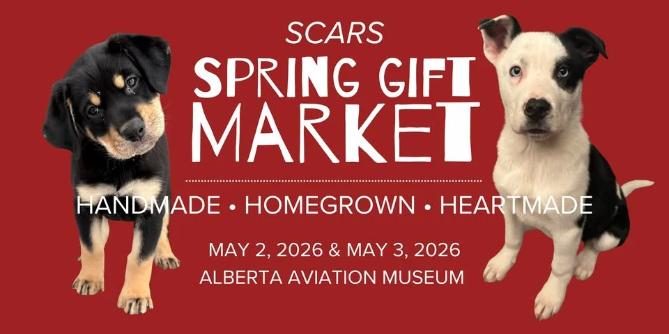 SCARS presents Spring Gift Market