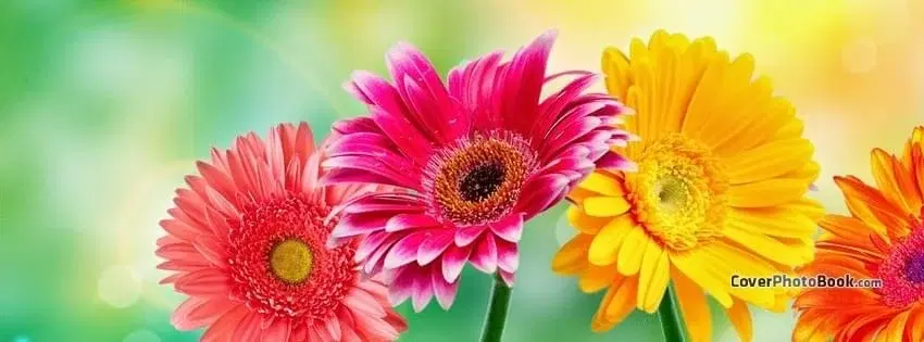 Spring Blossom Craft & Vendor Show