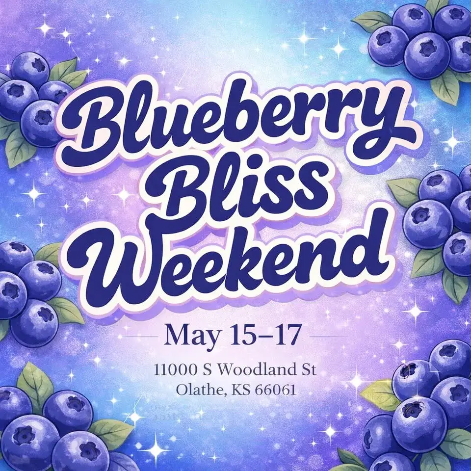 đ Blueberry Bliss Weekend đ