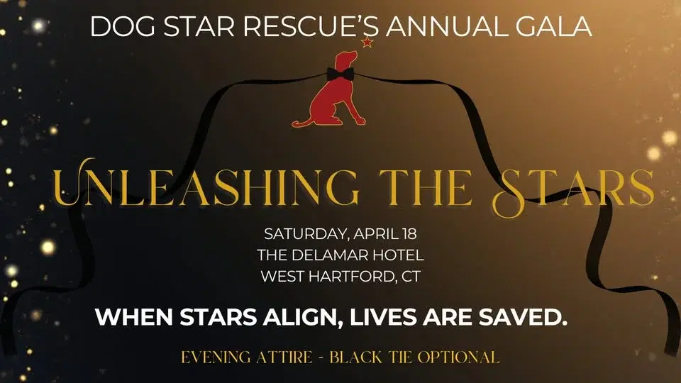 Unleashing the Stars Gala Benefitting Dog Star Rescue