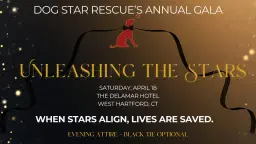 Unleashing the Stars Gala Benefitting Dog Star Rescue