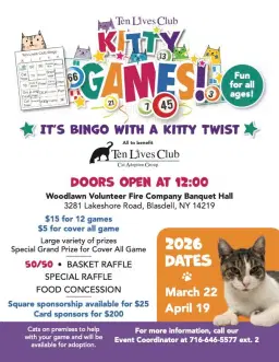 Kitty Bingo
