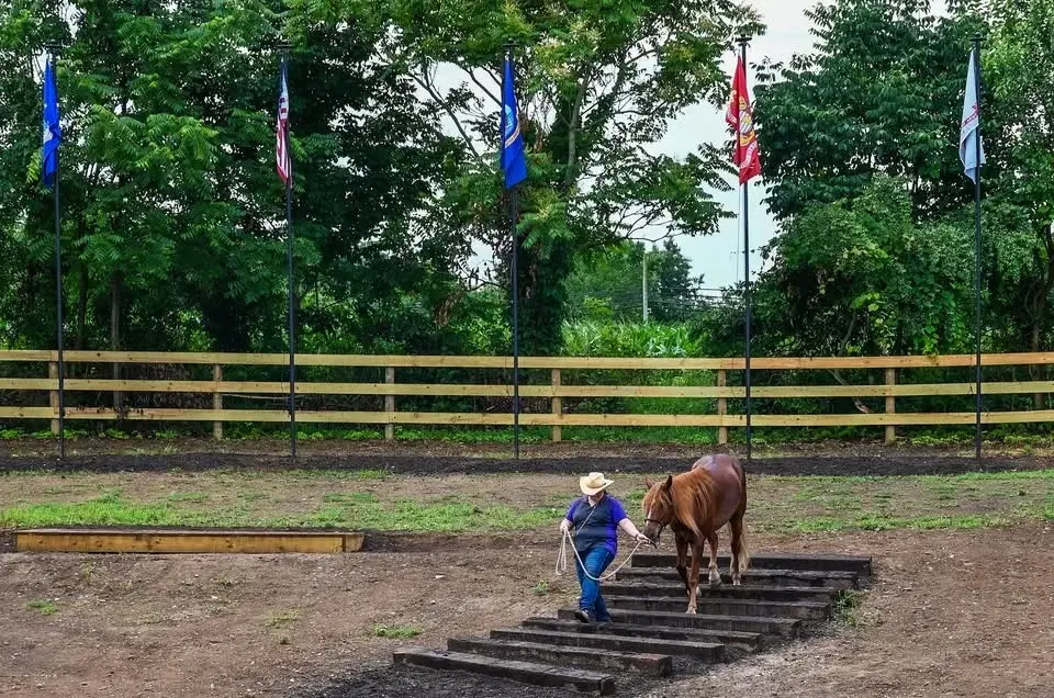 Phoenix on Killian DOUBLE POINTS WEEKEND Mountain Trail Series (PMT Sanctioned)