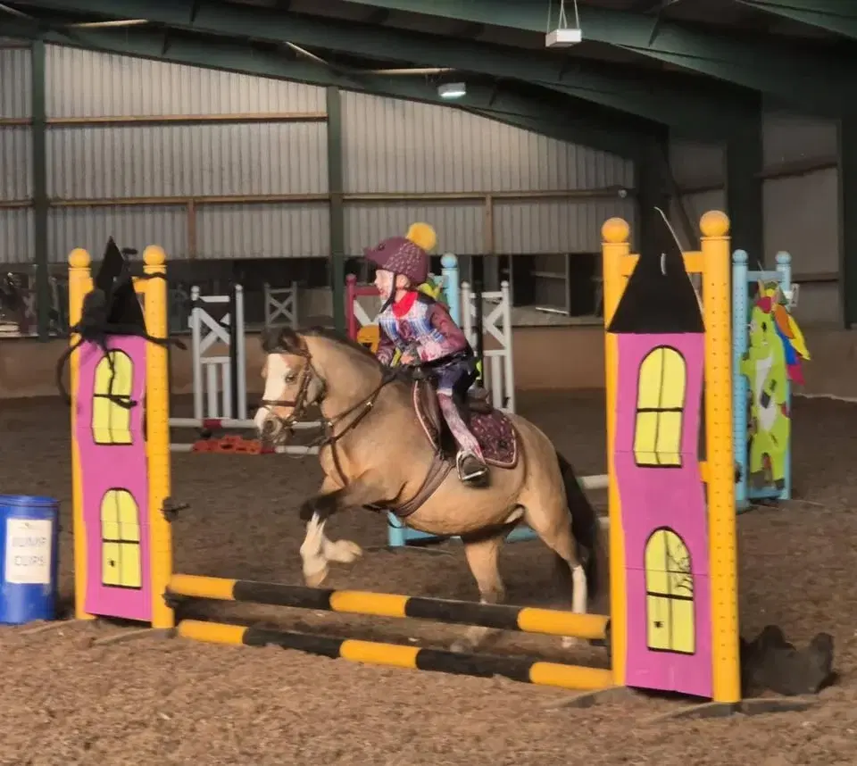 BBDRC, Halloween Showjumping competition