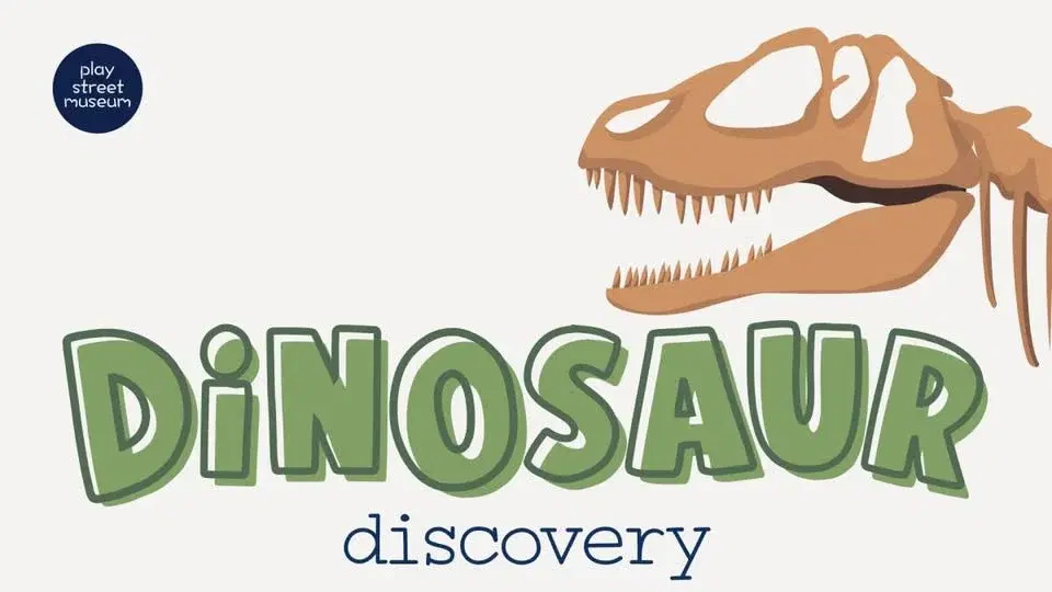 Dinosaur Discovery!