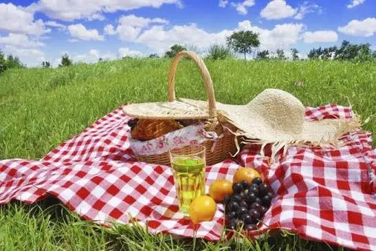 Picnic in the parkđ§ș