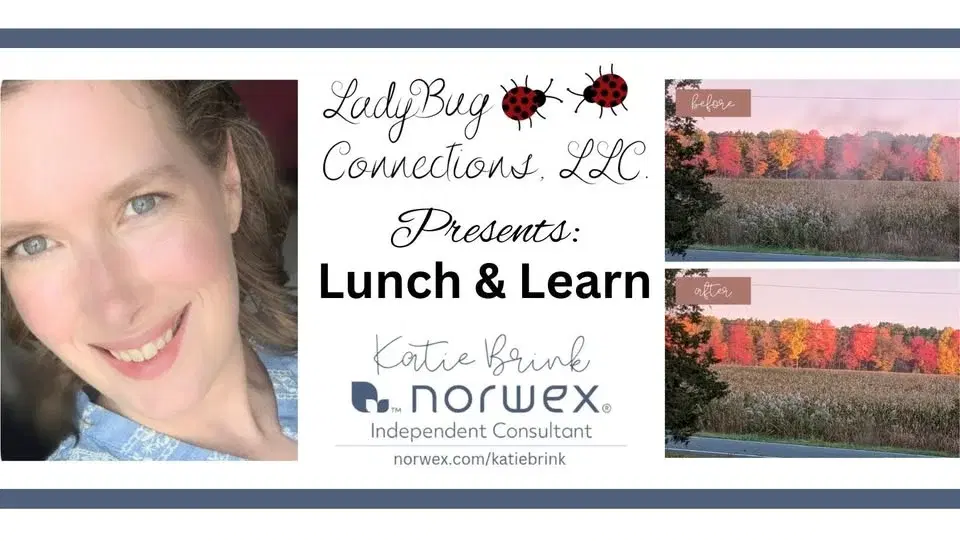 LadyBug Connections, LLC presents: Lunch & Learn with Norwex
