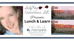 LadyBug Connections, LLC presents: Lunch & Learn with Norwex