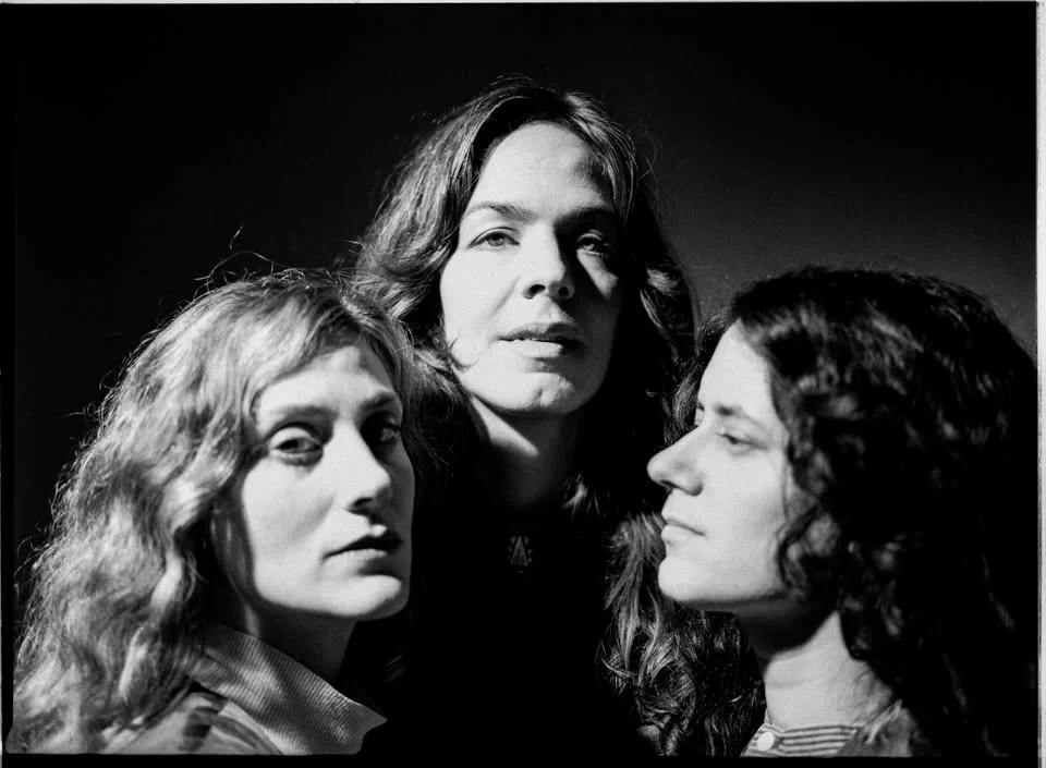 My Dear Companion - country/bluegrass/americana