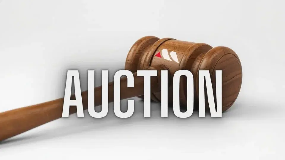 Worcester Equine Sale