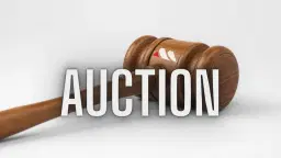 Worcester Equine Sale