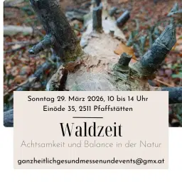 Waldzeit - Achtsamkeit und Balance in der Natur