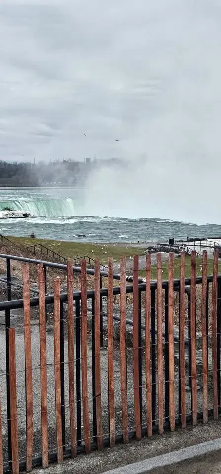 Niagara falls Bus trip 2026