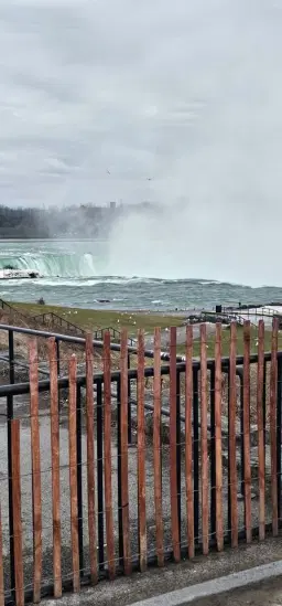 Niagara falls Bus trip 2026