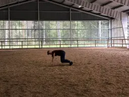 Workshop: Praktisk förståelse av hästens biomekanik
