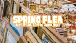 🌷𝐒𝐏𝐑𝐈𝐍𝐆 𝐅𝐋𝐄𝐀