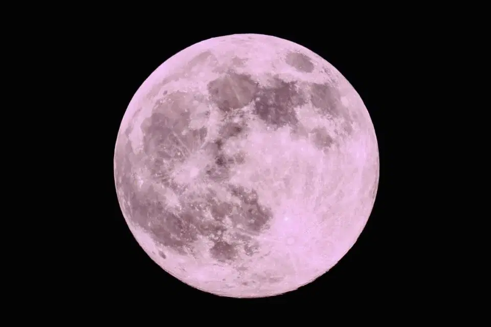 Chasing the Pink Moon: Sunset-to-Moonrise Boardwalk Walk đ„Ÿđ
đđ