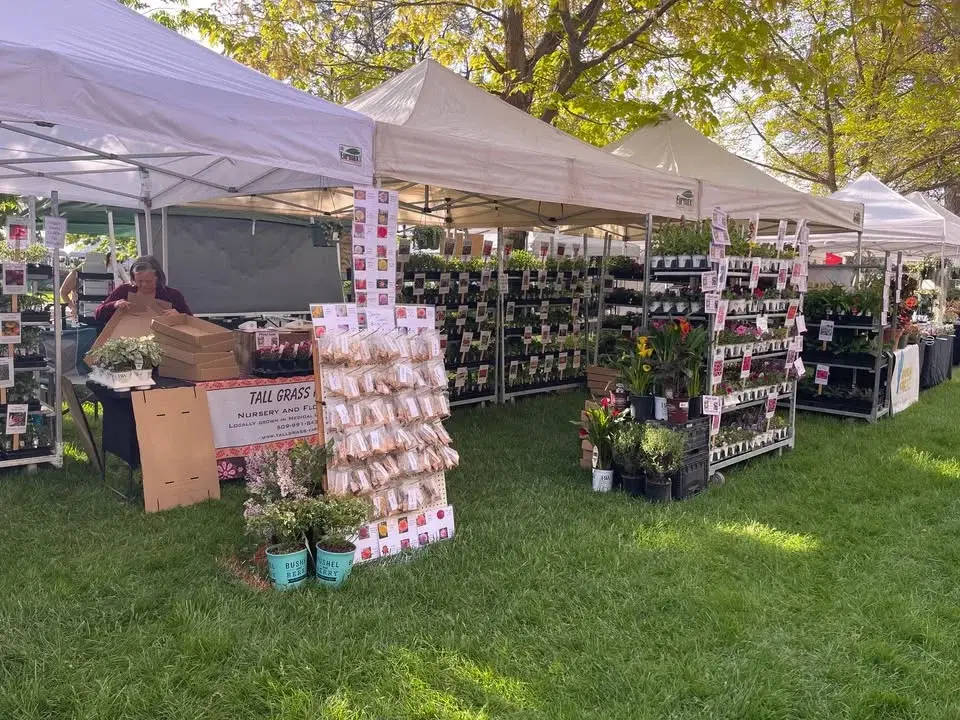 Plant, Garden, Gift Extravaganaza (Spokane Valley)