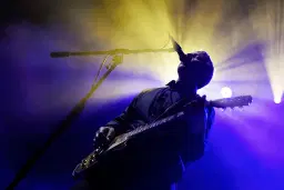 PINK TURNS BLUE • Black Swan UK Tour 2026 • with special guests The Snake Corps