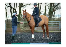 Easter Camp Webbs Green