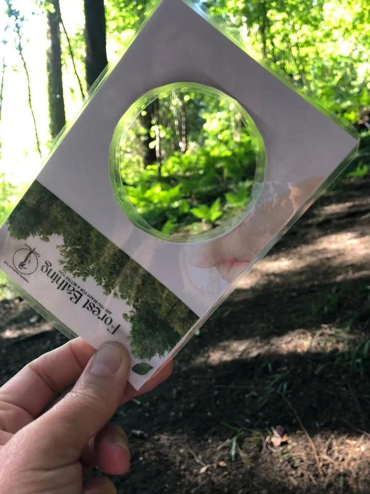 FREE Forest Bathing & Tai Chi Taster