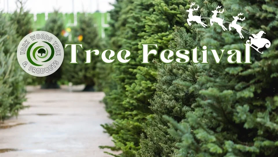 6th Annual Tree Festival