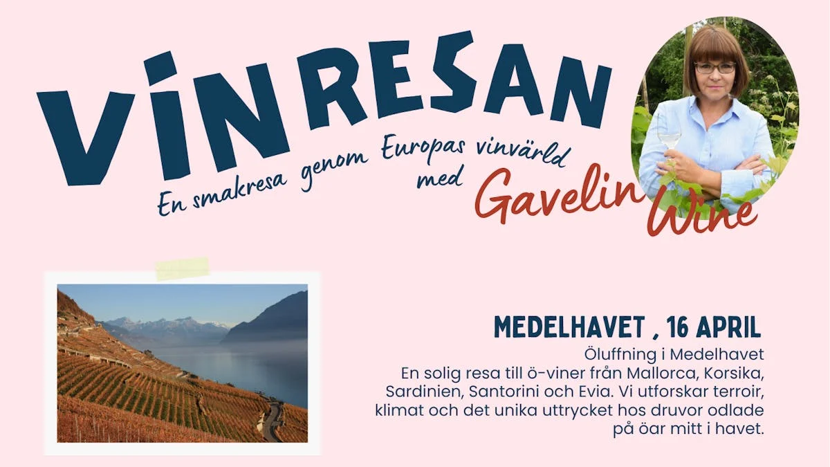 En smakresa genom Europas vinvärld, Fjärde anhalt: Medelhavet