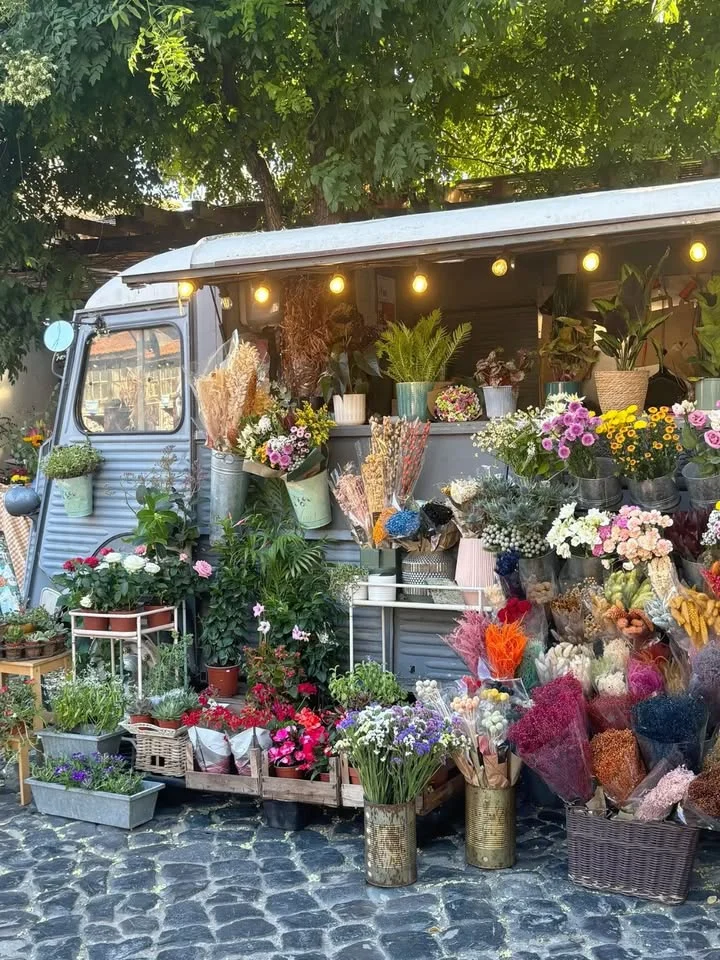 Summer Market ☀️🛍️