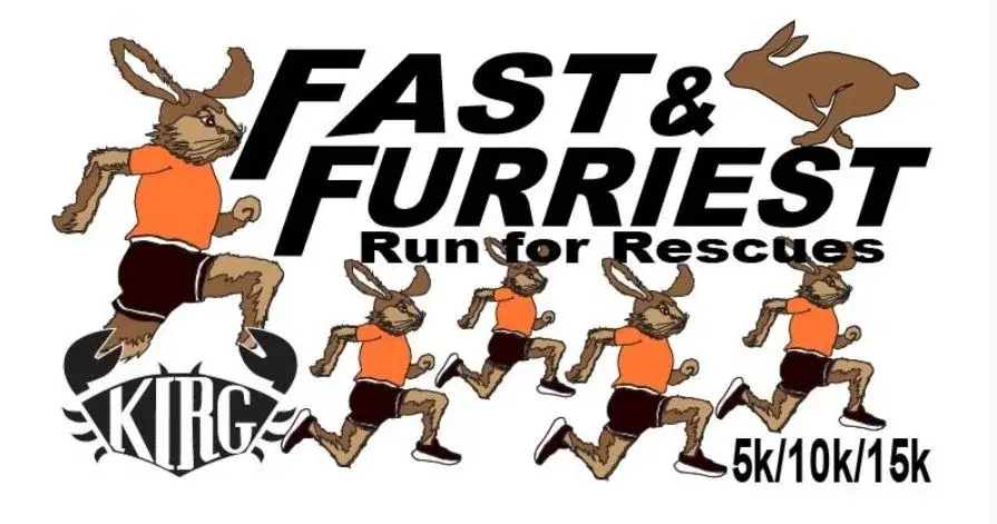 Fast & Furriest Run for Rescues