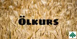 Ölkurs - med Örjan Berglund