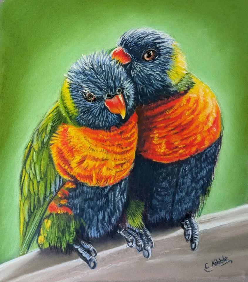 Rainbow Lorikeets paintalong