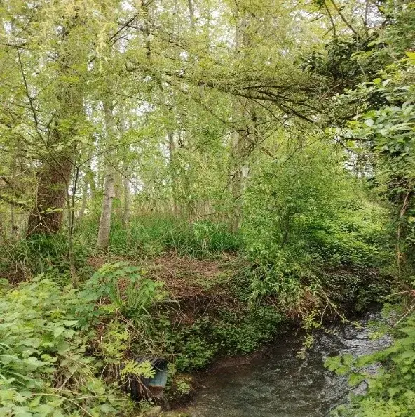 18ème Marche des Picardes
