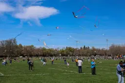 Kite Day