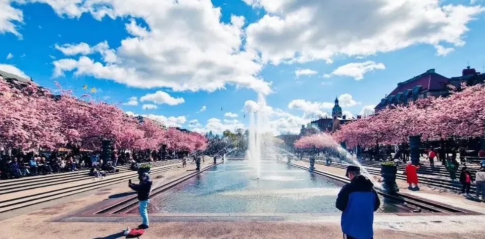 Kungsträdgårdens historia