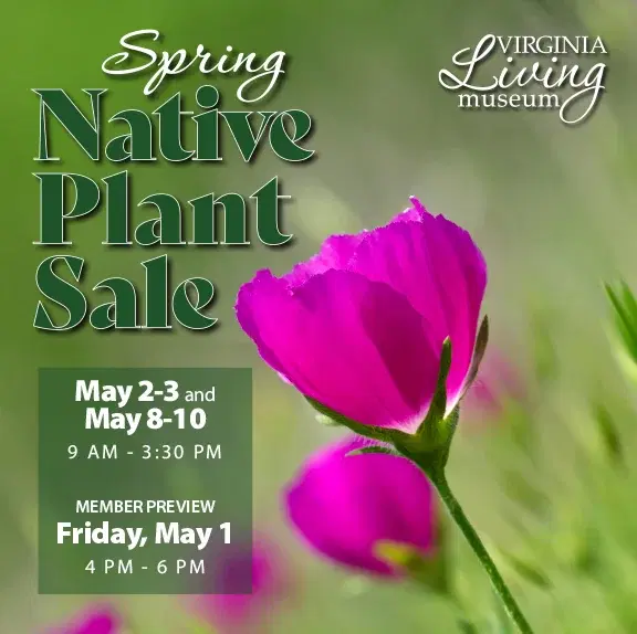 Spring Native Plant Sale