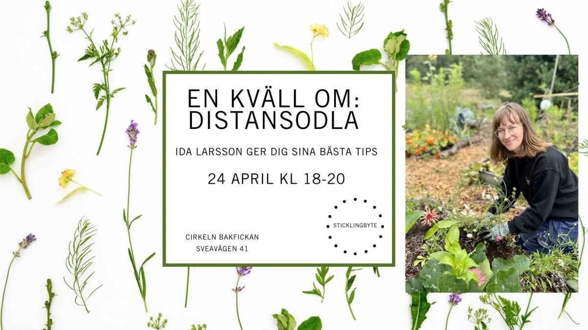 Odla på distans med Ida Larsson