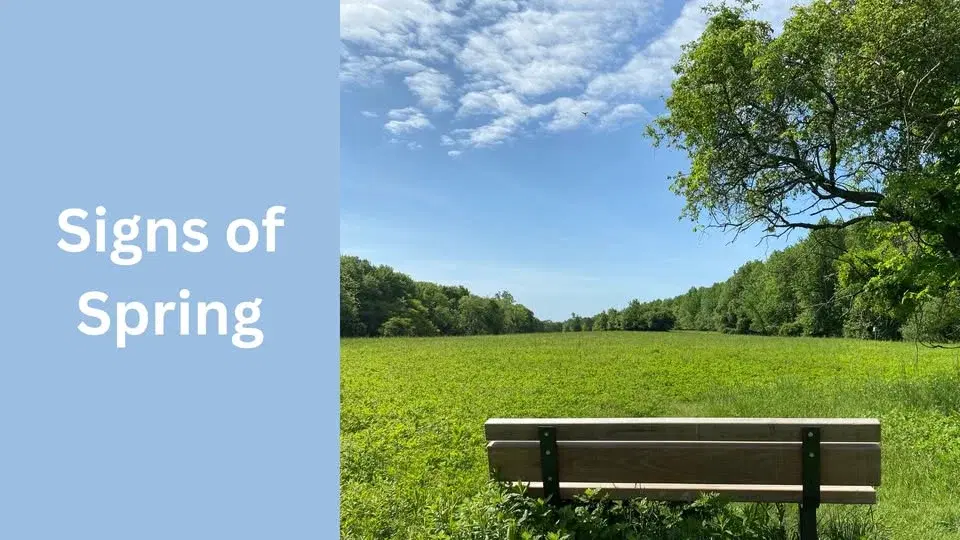 Signs of Spring