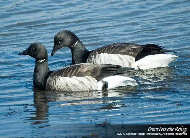 NJSFSC Sportsmen’s Jamboree