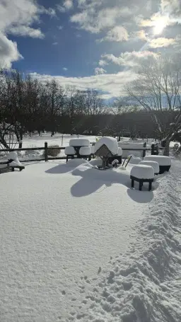 3rd Annual Coneflower Festival