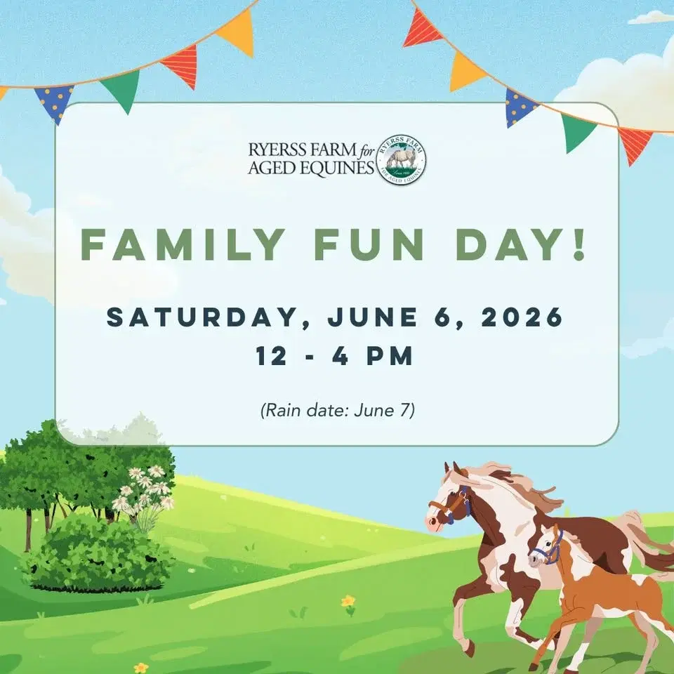 Family Fun Day