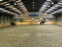 Flatwork Training with Ellen Berchner-Nolan at Stretcholt, 5th April
