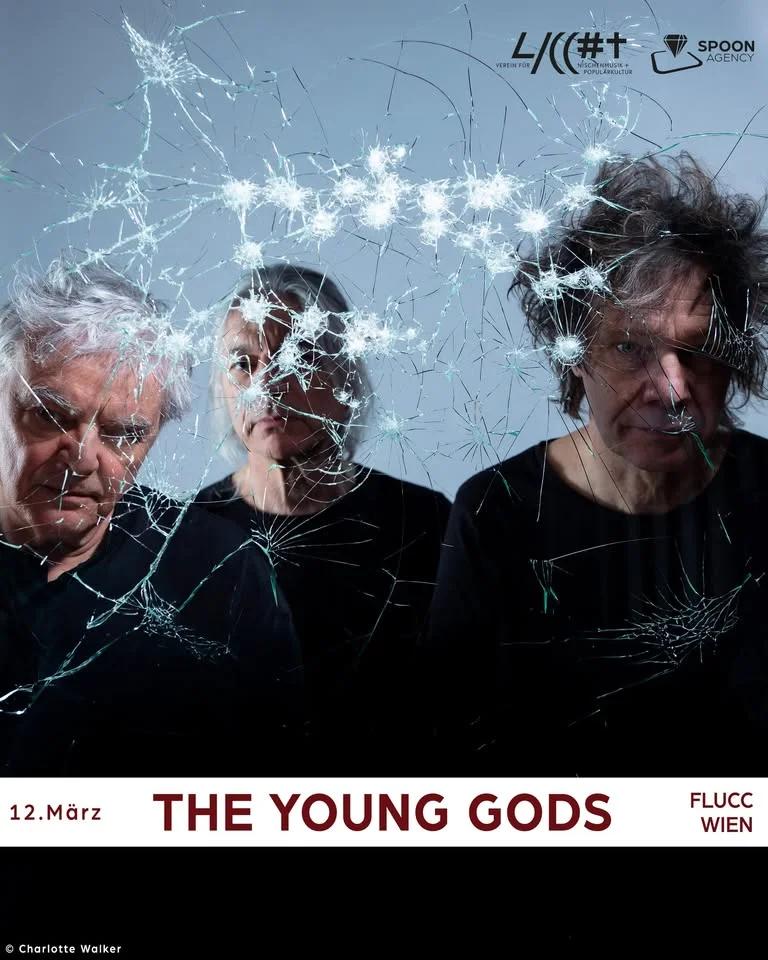 THE YOUNG GODS (CH), TOUT BLEU (CH) • Wien • FLUCC