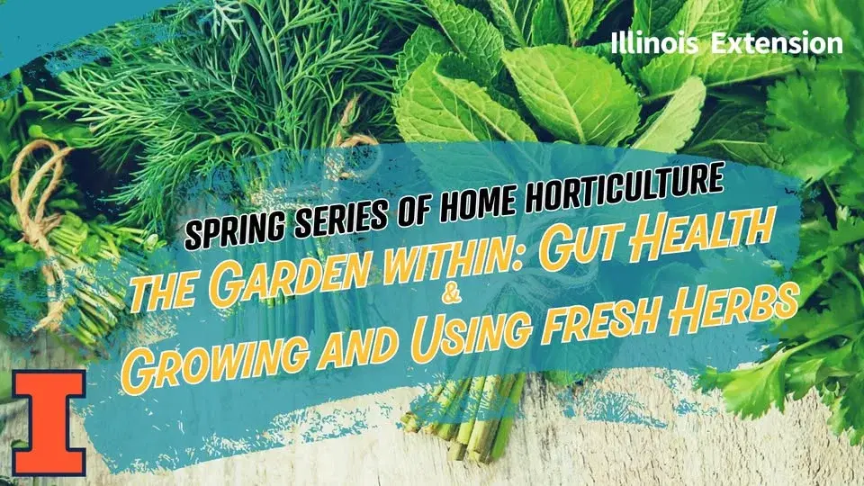 Spring Series of Home Horticulture - Week 3