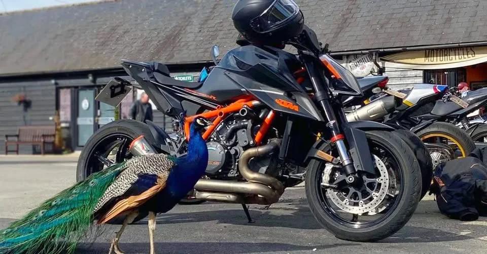 BIKE NIGHTS START AGAIN AT BLAKE HOUSE - 9 APRIL 2026 🏍️