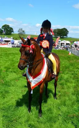 The 130th Skelton Show